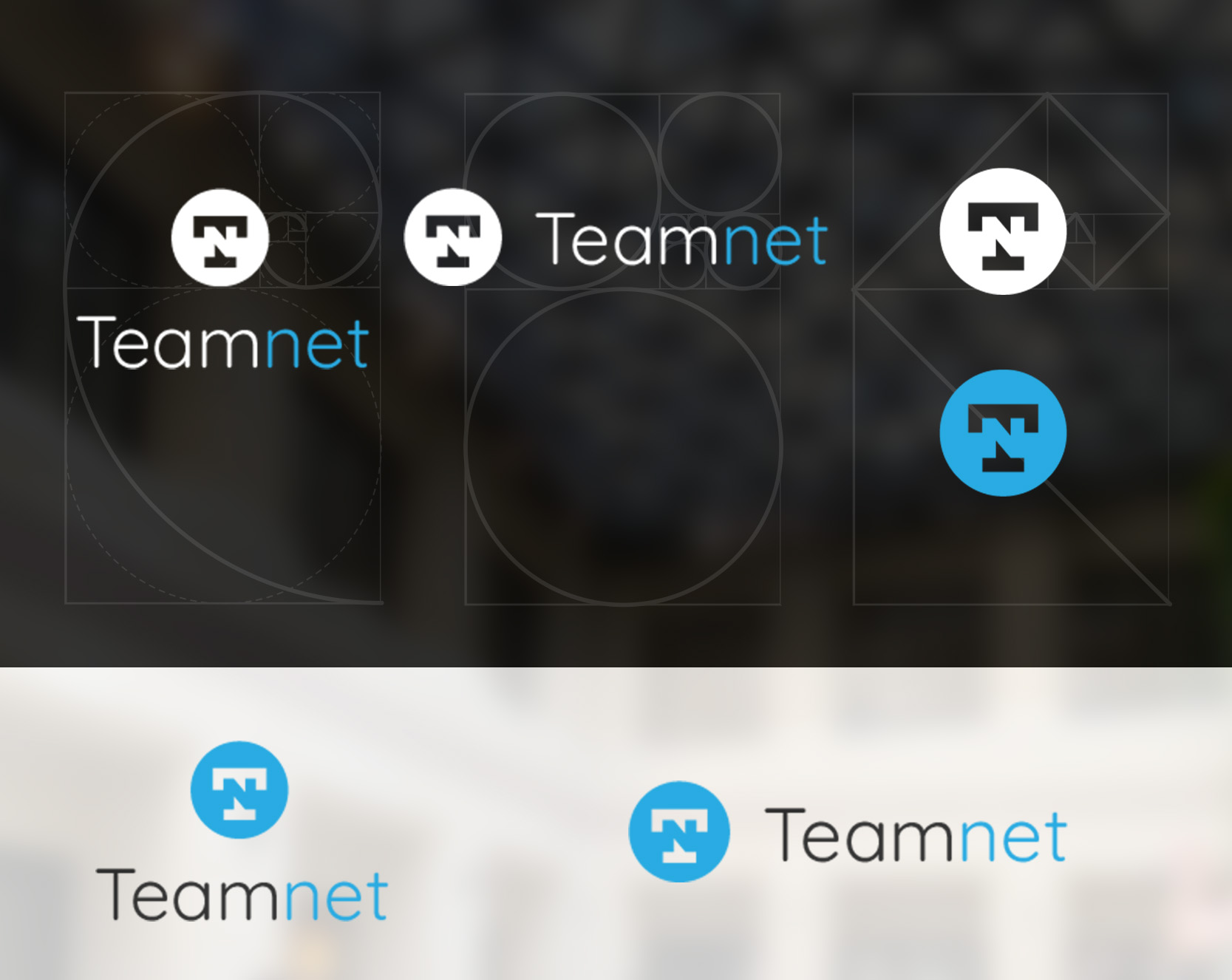 LOGOTYPE – Teamnet